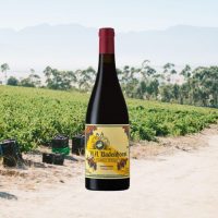 AA Badenhorst
