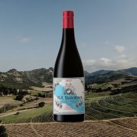 AA Badenhorst Family Red Shiraz Blend