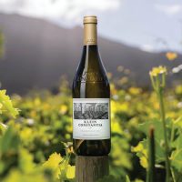 Klein Constantia Chardonnay