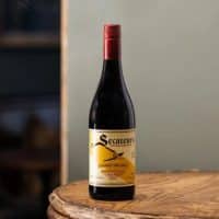 aa badenhorst